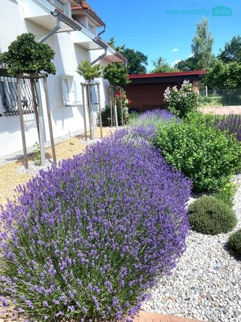 Prodej rodinného domu, Šťáhlavy, K Bažantnici, 160 m2