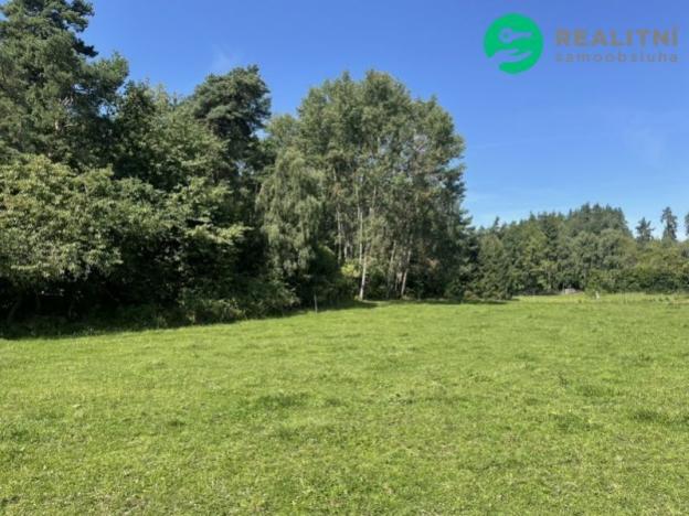 Prodej pozemku pro bydlení, Kolinec - Sluhov, 3805 m2