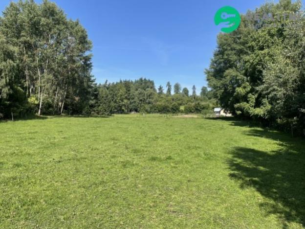 Prodej pozemku pro bydlení, Kolinec - Sluhov, 3805 m2