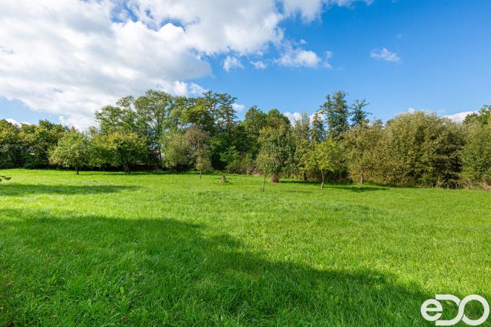 Prodej zemědělské usedlosti, Buzice, 145 m2