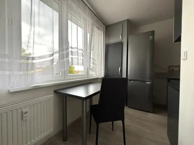 Pronájem bytu 2+1, Plzeň - Lobzy, Rokycanská, 54 m2