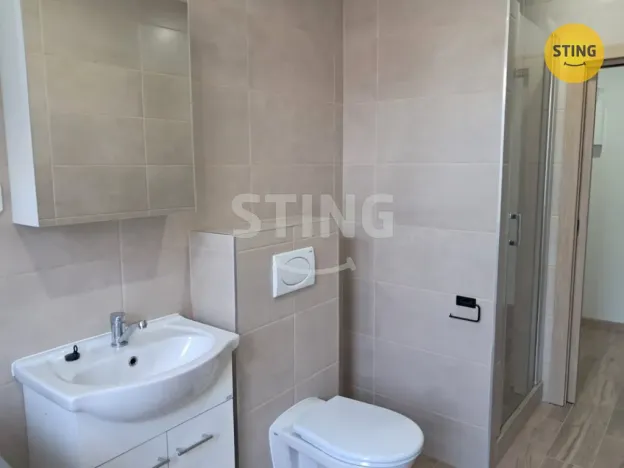 Pronájem bytu 1+1, Ostrava, Jindřichova, 55 m2