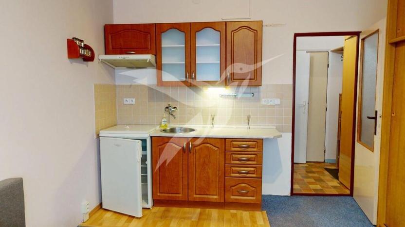 Pronájem bytu 1+kk, Plzeň, Skupova, 20 m2
