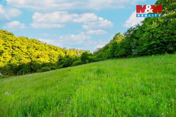Prodej louky, Jílové u Prahy, 18692 m2