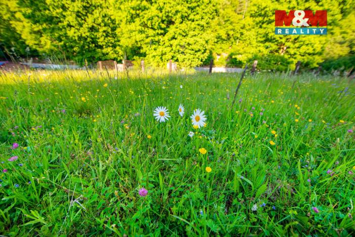 Prodej louky, Jílové u Prahy, 18692 m2