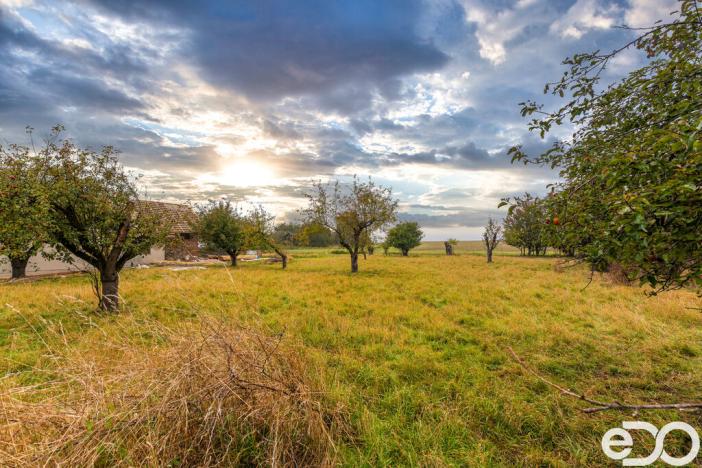 Prodej pozemku pro bydlení, Mžany, 1321 m2