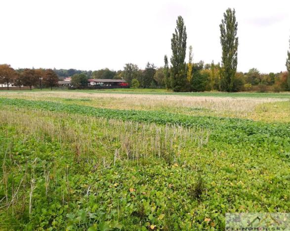 Prodej pozemku pro bydlení, Kolešovice, 985 m2