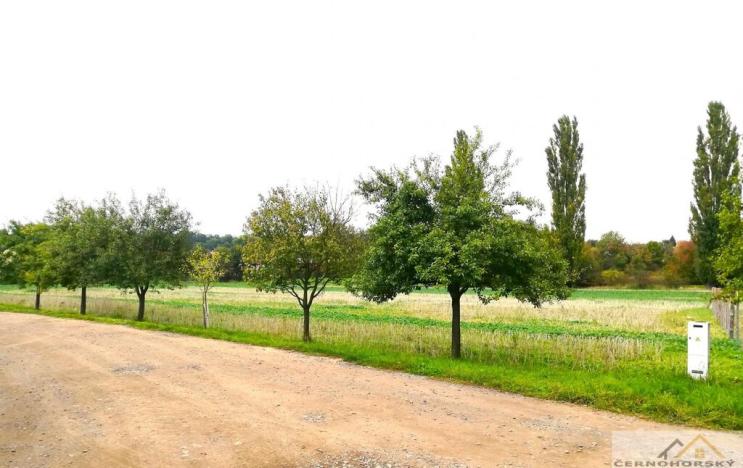 Prodej pozemku pro bydlení, Kolešovice, 985 m2