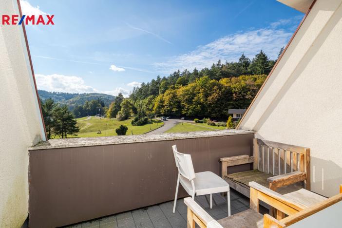 Prodej bytu 2+kk, Všemina, 45 m2