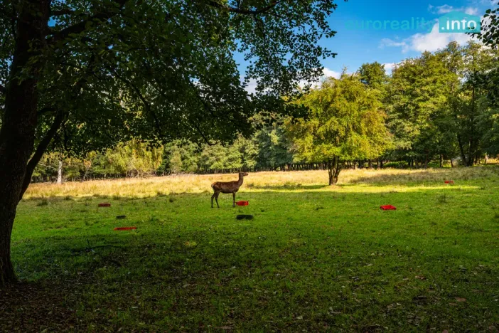 Prodej komerčního pozemku, Cheb, 86573 m2