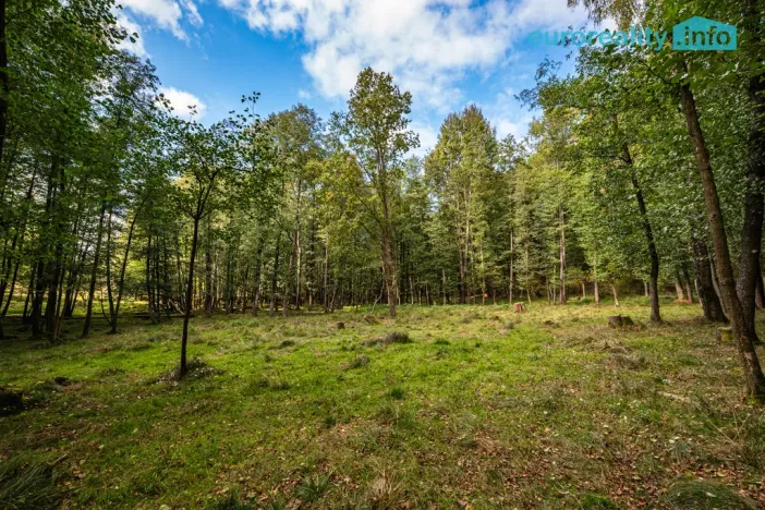 Prodej komerčního pozemku, Cheb, 86573 m2