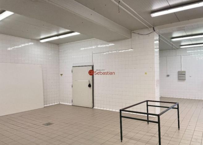 Pronájem skladu, Jičín - Valdické Předměstí, Dělnická, 178 m2