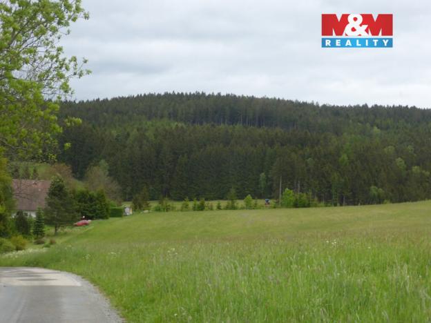 Prodej lesa, Vysoká Srbská, 26095 m2