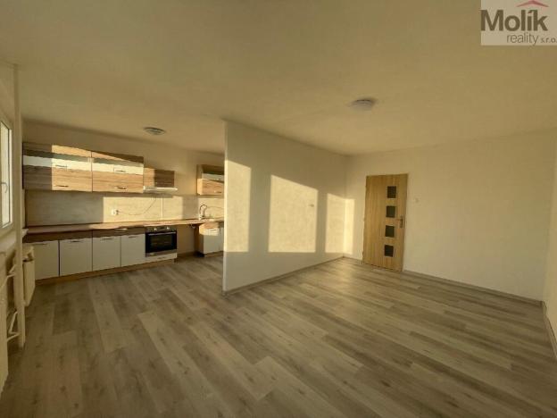 Pronájem bytu 3+1, Litvínov - Hamr, Přátelství, 62 m2