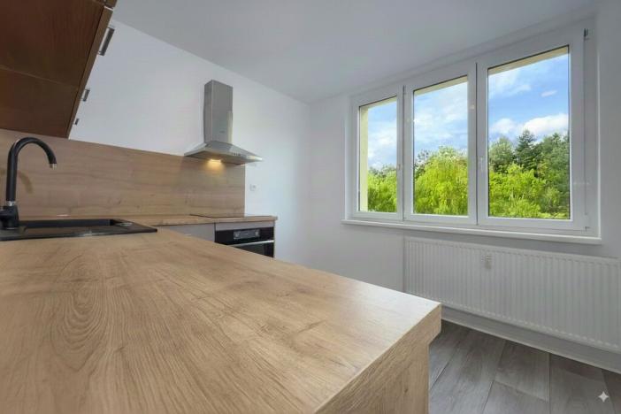 Pronájem bytu 3+1, Chomutov, Školní pěšina, 62 m2