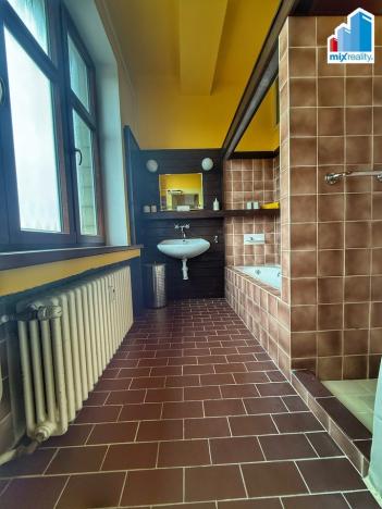 Pronájem bytu 4+1, Plzeň, Americká, 135 m2