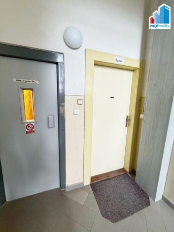 Pronájem bytu 4+1, Plzeň, Americká, 135 m2