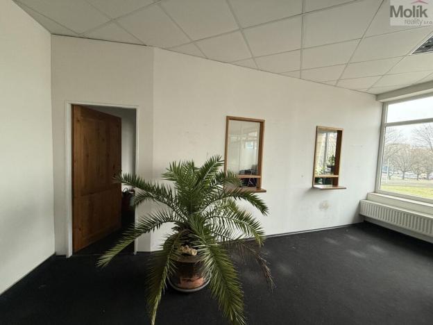 Pronájem obchodního prostoru, Most, Moskevská, 41 m2