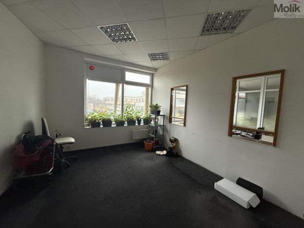 Pronájem obchodního prostoru, Most, Moskevská, 41 m2