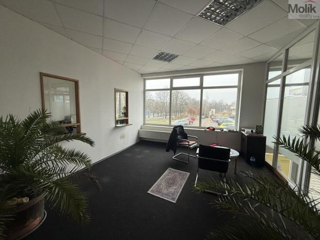 Pronájem obchodního prostoru, Most, Moskevská, 41 m2