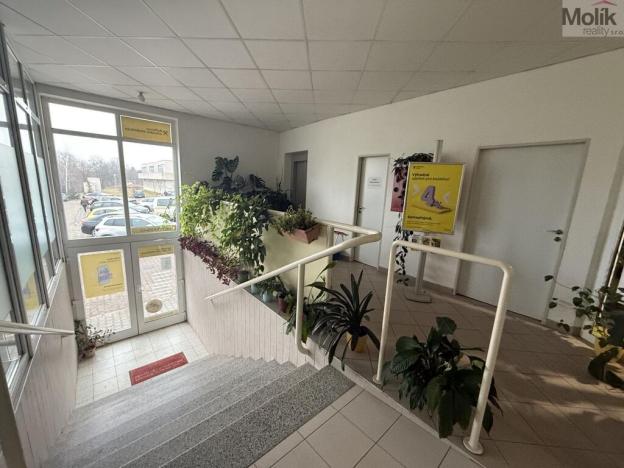 Pronájem obchodního prostoru, Most, Moskevská, 41 m2