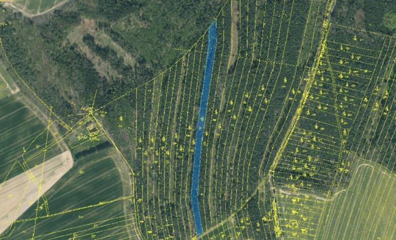 Prodej lesa, Vesce - Mokrá, 24818 m2