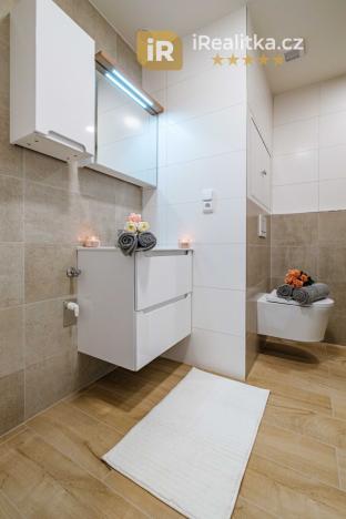 Prodej bytu 1+kk, Hradec Králové - Nový Hradec Králové, Brožíkova, 29 m2