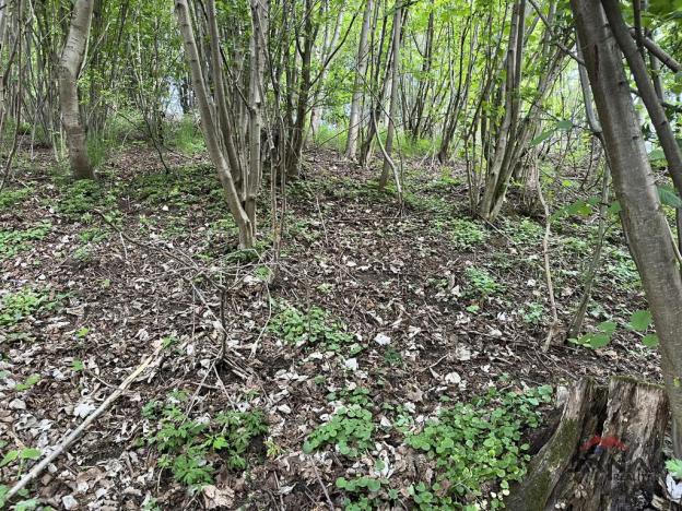 Prodej pozemku pro bydlení, Mírová pod Kozákovem, 1851 m2