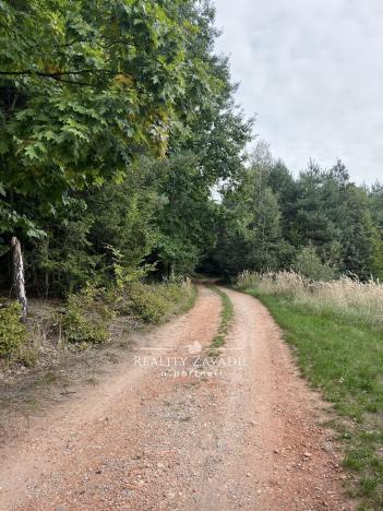 Prodej chaty, Nová Ves, 140 m2