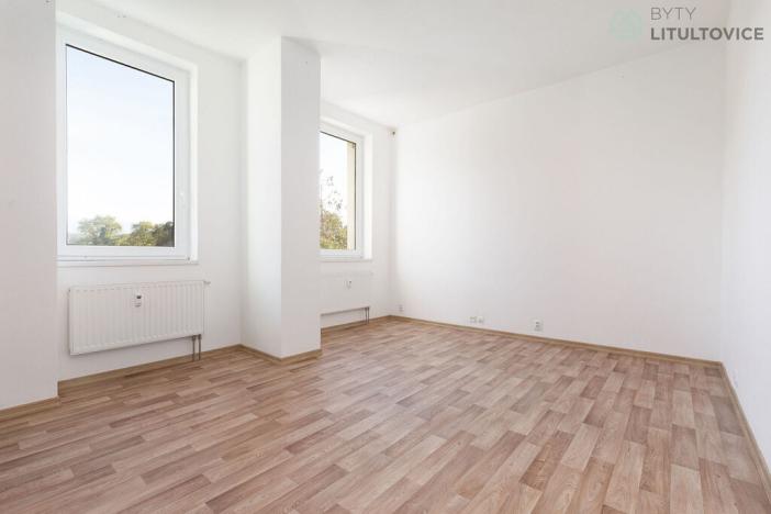 Prodej bytu 1+kk, Litultovice, 28 m2