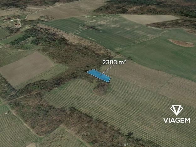Prodej podílu lesa, Semtěš, 1191 m2