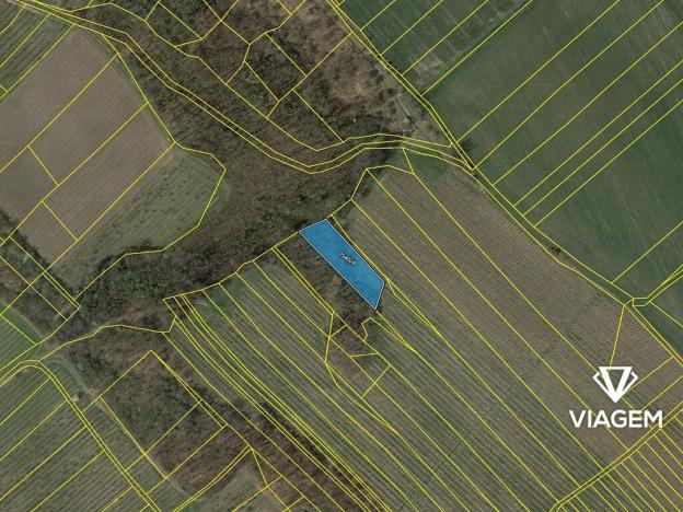 Prodej podílu lesa, Semtěš, 1191 m2