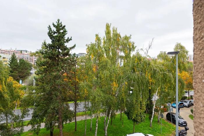 Pronájem bytu 2+1, Praha, Patočkova, 53 m2