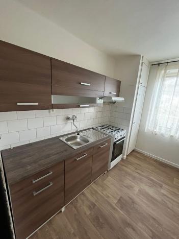 Pronájem bytu 3+1, Bruntál, Dolní, 60 m2