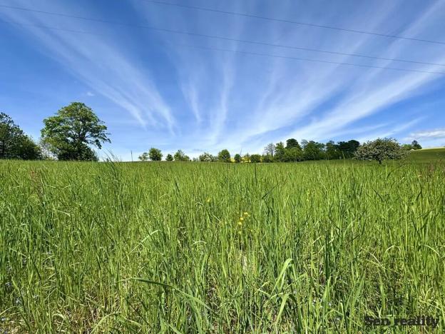 Prodej pole, Liberk, 30357 m2