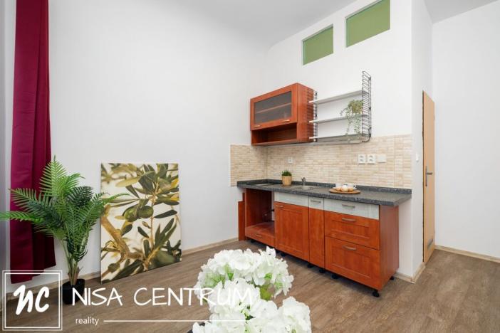 Pronájem bytu 1+kk, Turnov, Palackého, 25 m2