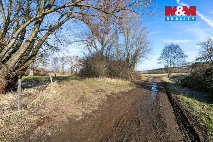 Prodej pole, Podluhy, 1679 m2