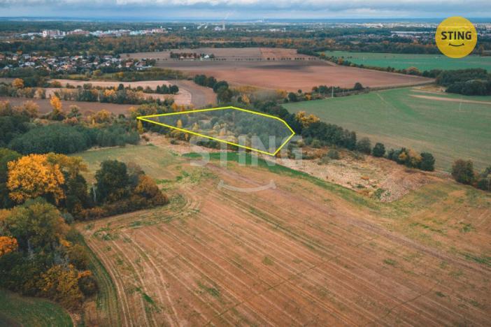 Prodej pole, Srnojedy, 12546 m2