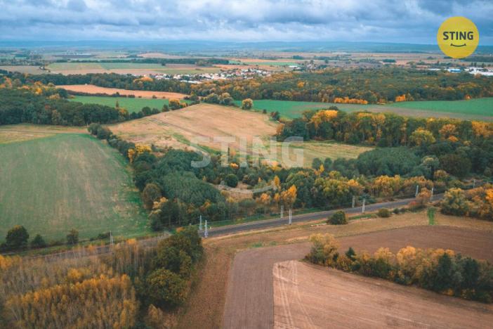 Prodej pole, Srnojedy, 12546 m2