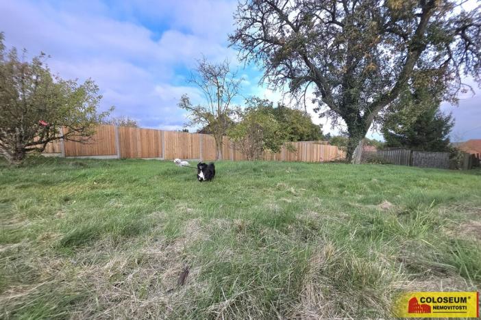 Pronájem zahrady, Lesní Hluboké, 1471 m2