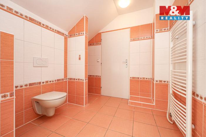 Prodej rodinného domu, Velký Týnec, U nové školy, 310 m2