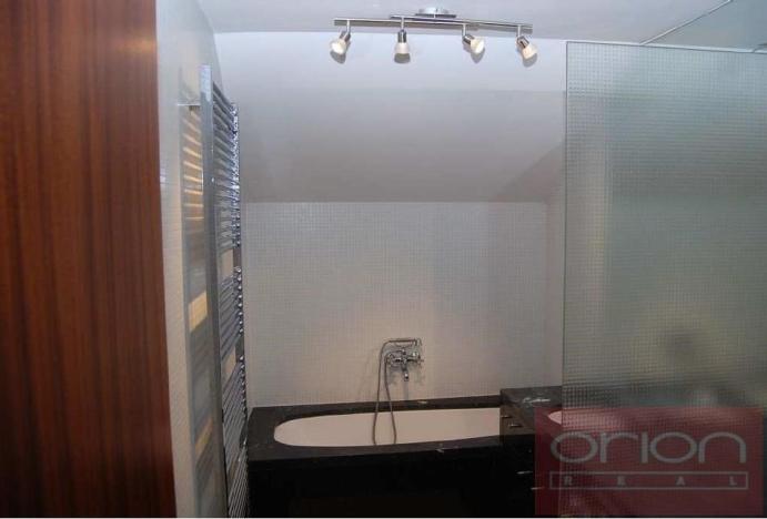 Pronájem bytu 4+1, Praha - Bubeneč, Pod kaštany, 211 m2