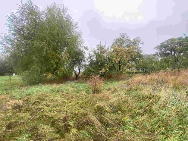 Prodej pozemku, Dolní Bukovsko - Bzí, 588 m2