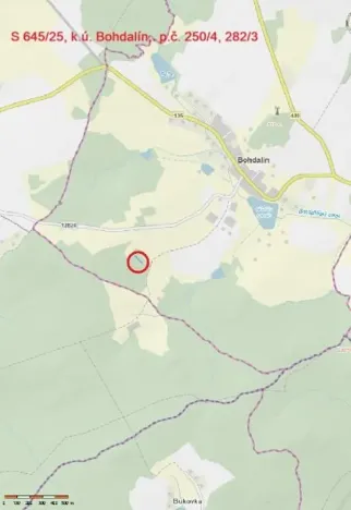 Prodej lesa, Bohdalín, 2728 m2