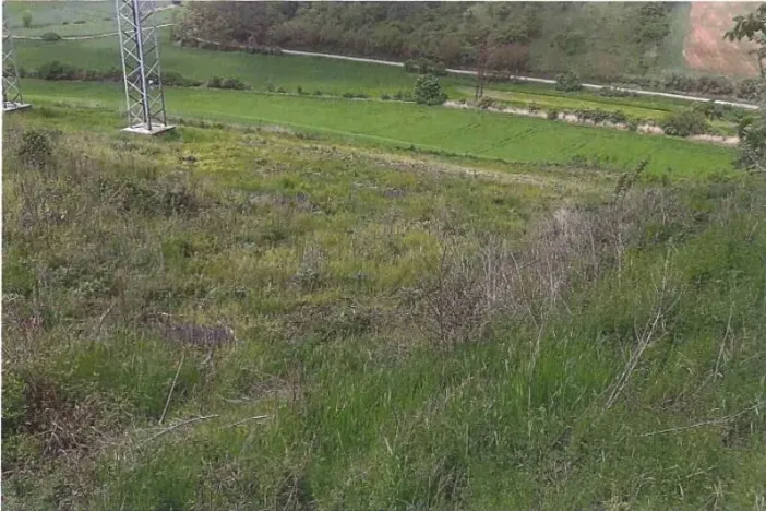 Prodej pozemku, Klobouky u Brna, 5803 m2