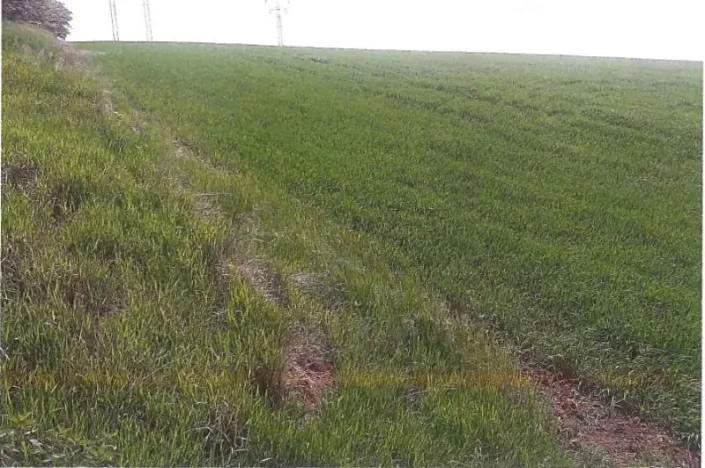 Prodej pozemku, Klobouky u Brna, 5803 m2