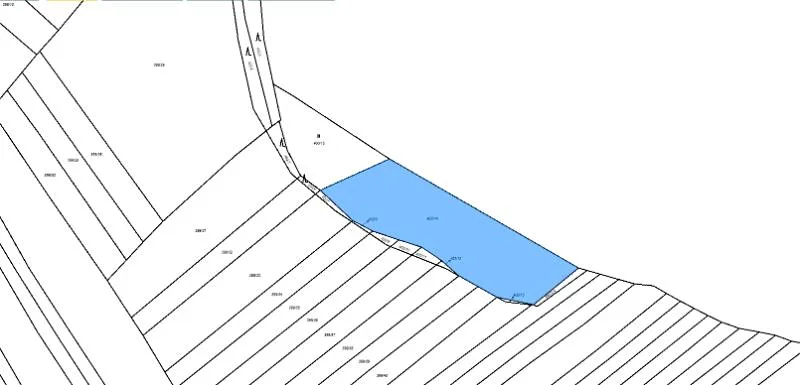 Prodej pozemku, Klobouky u Brna, 5803 m2