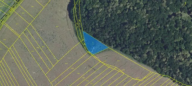 Prodej pozemku, Klobouky u Brna, 5803 m2