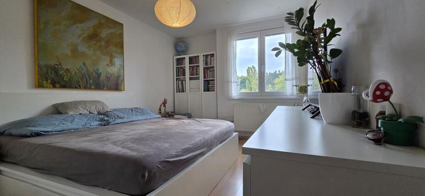 Prodej bytu 2+1, Praha - Vokovice, Na dlouhém lánu, 65 m2