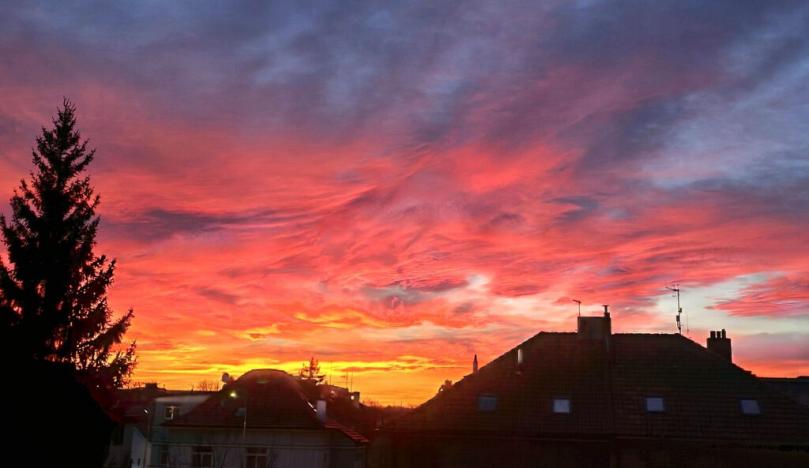 Prodej bytu 2+1, Praha - Vokovice, Na dlouhém lánu, 65 m2